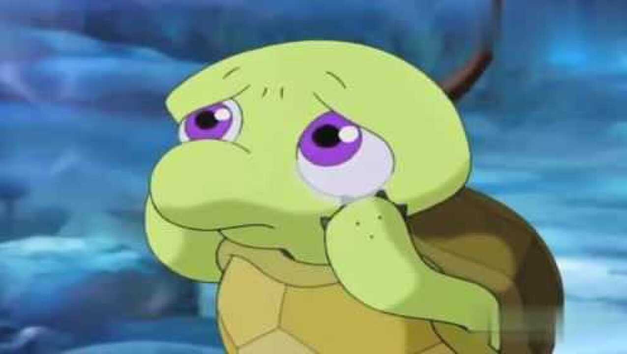 双面龟哭的图片图片