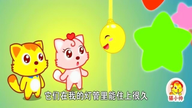 猫小帅故事:为什么霓虹灯有很多颜色 惰气住在灯管里有很多颜色