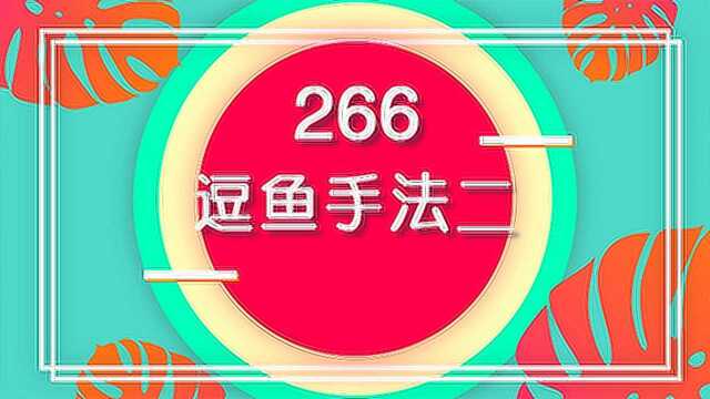 《从0开始学钓鱼》266 逗鱼手法二