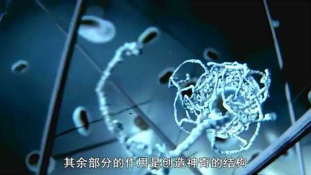 BBC纪录片还原细胞内部工作机理,好神奇