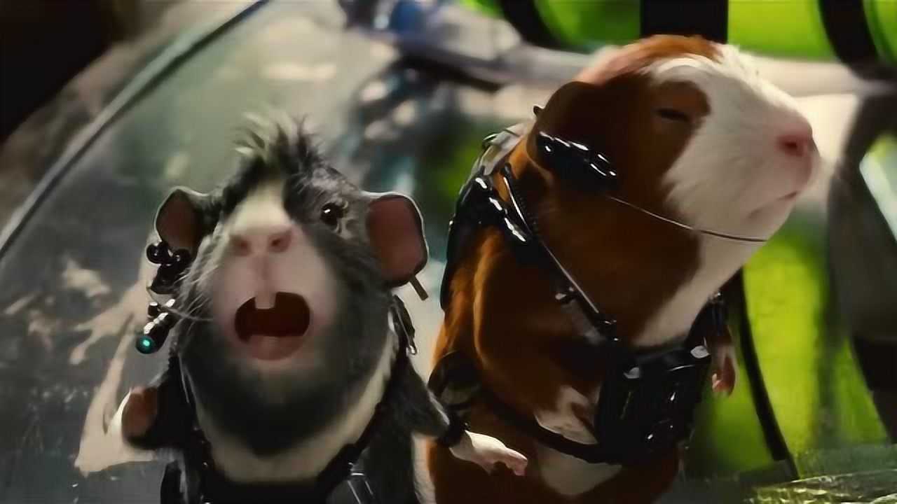 豚鼠特攻队:联邦局竟要消灭豚鼠,幸亏小队机智_电影_高清1080p在线