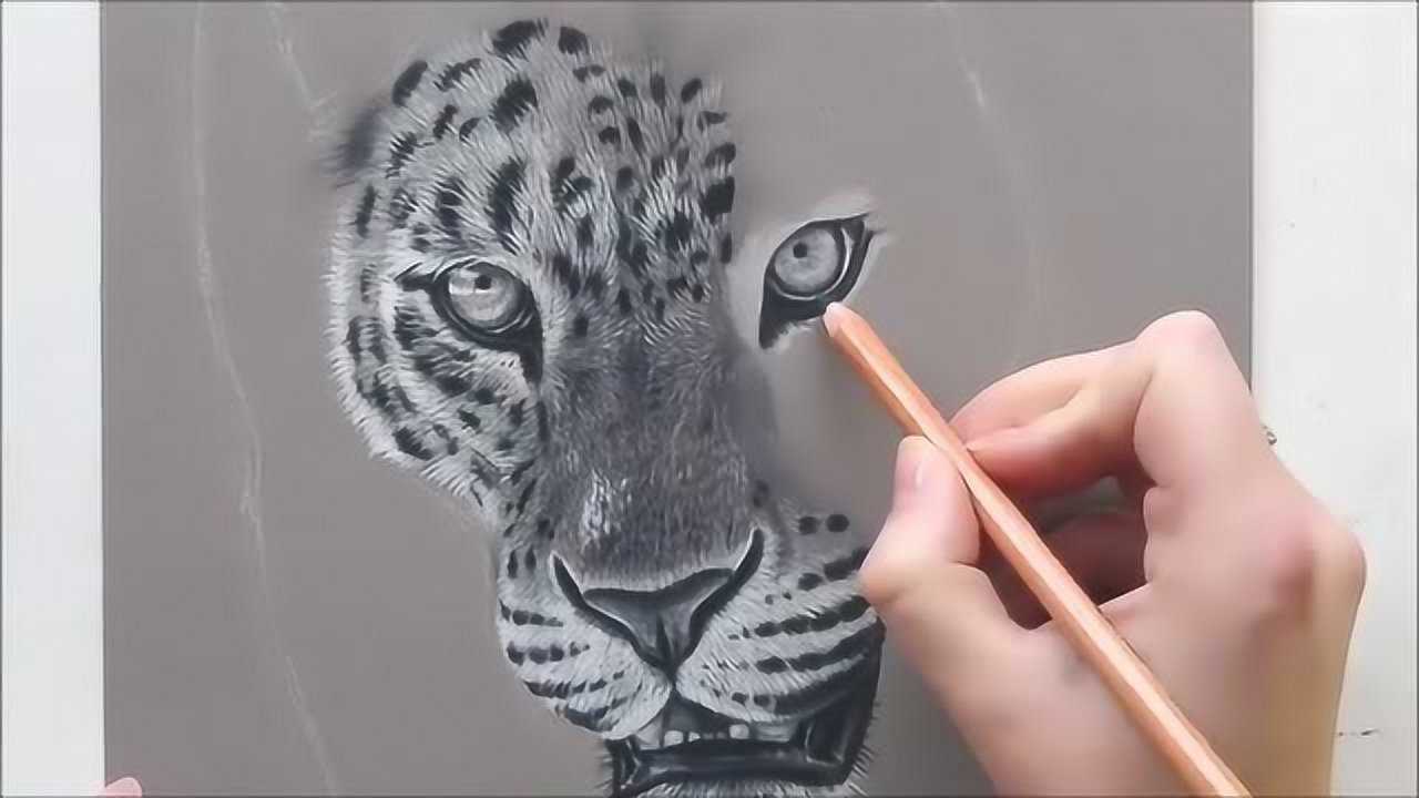 快速简单学习猎豹铅笔绘画_腾讯视频