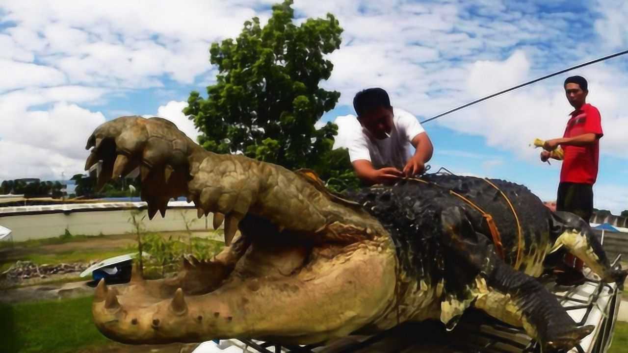 世界上最大的5种超大生物，4个生活在海里，至今很多人都没有见过