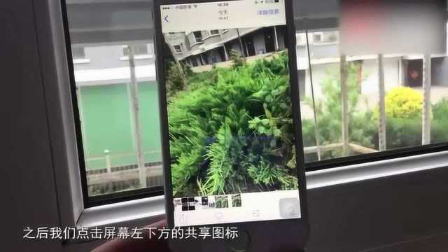 苹果手机如何玩转动态壁纸功能?不用不知道,一用吓一跳