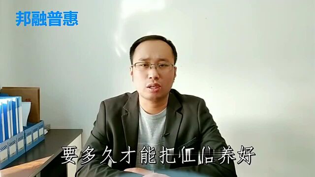 征信查询次数过多,要多久才能把征信养好?