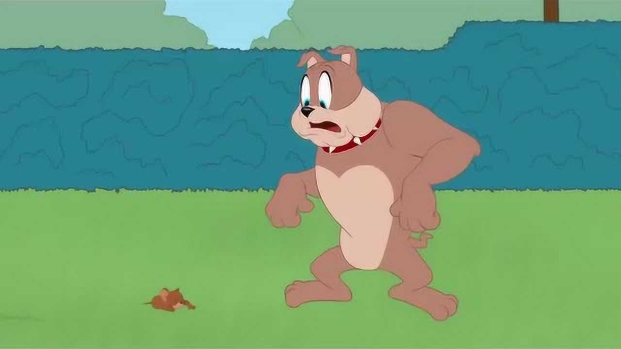 新猫和老鼠:汤姆杰瑞和狗狗真是好玩伴