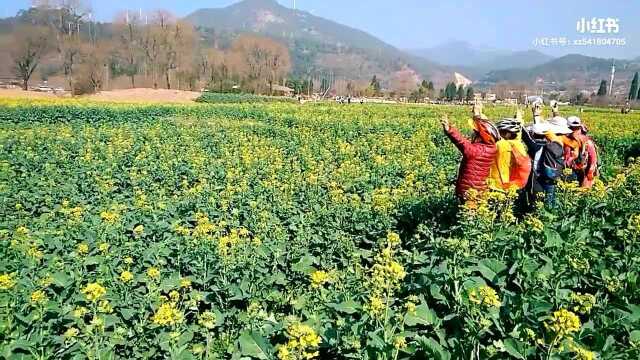 明天就除夕了,2019年春节好,祝健康和快乐!