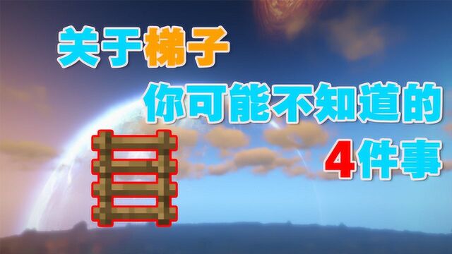 我的世界:关于梯子你不知道的4件事,一定别站在台阶上爬梯子!