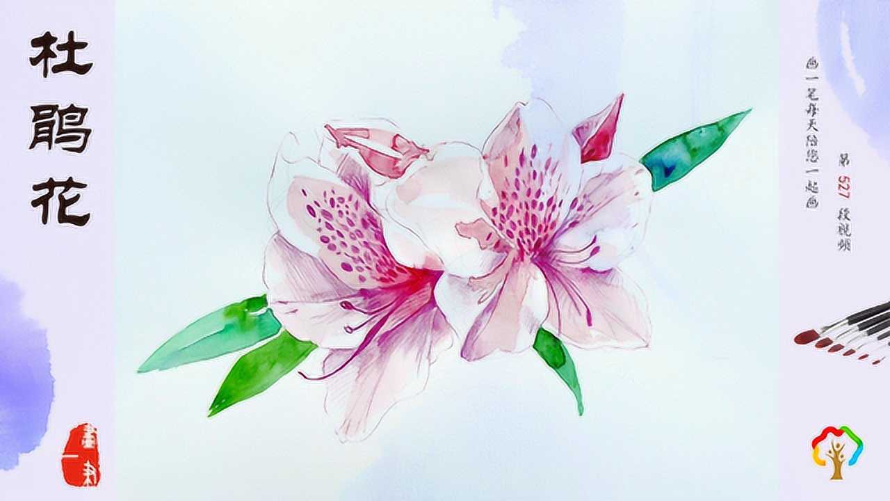 水彩画:杜鹃花开,漫山遍野的红色美景