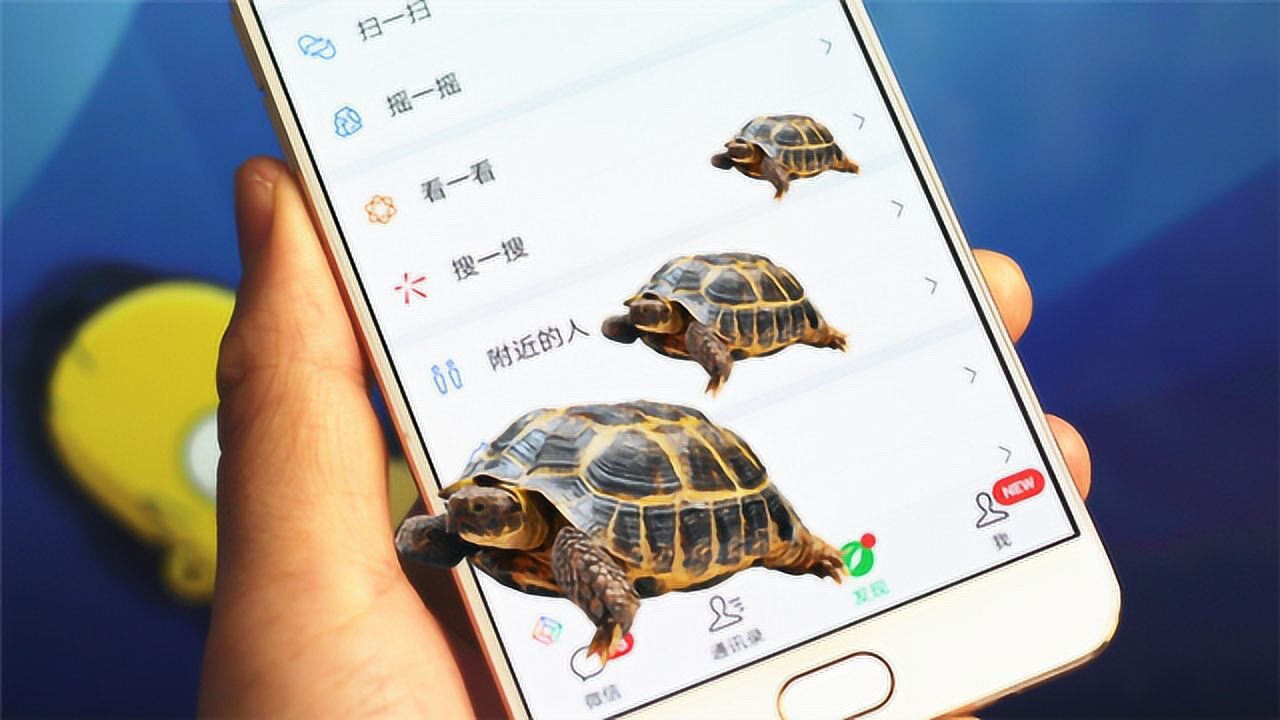 教你在手机设置一只"乌龟",可以在微信qq界面爬行,好友看了都羡慕