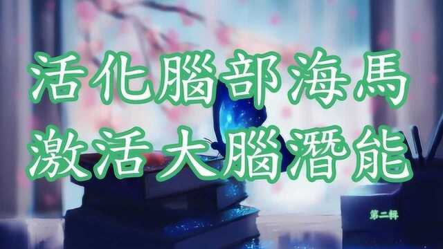 活化大脑音乐 激活大脑前叶 海马体 松果体 提高智力 提高记忆力