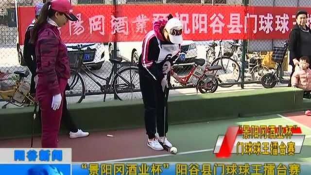 “景阳冈酒业杯”阳谷县门球球王擂台赛开赛