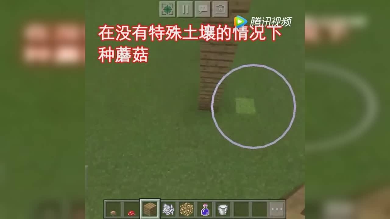 我的世界：种蘑菇教程_高清