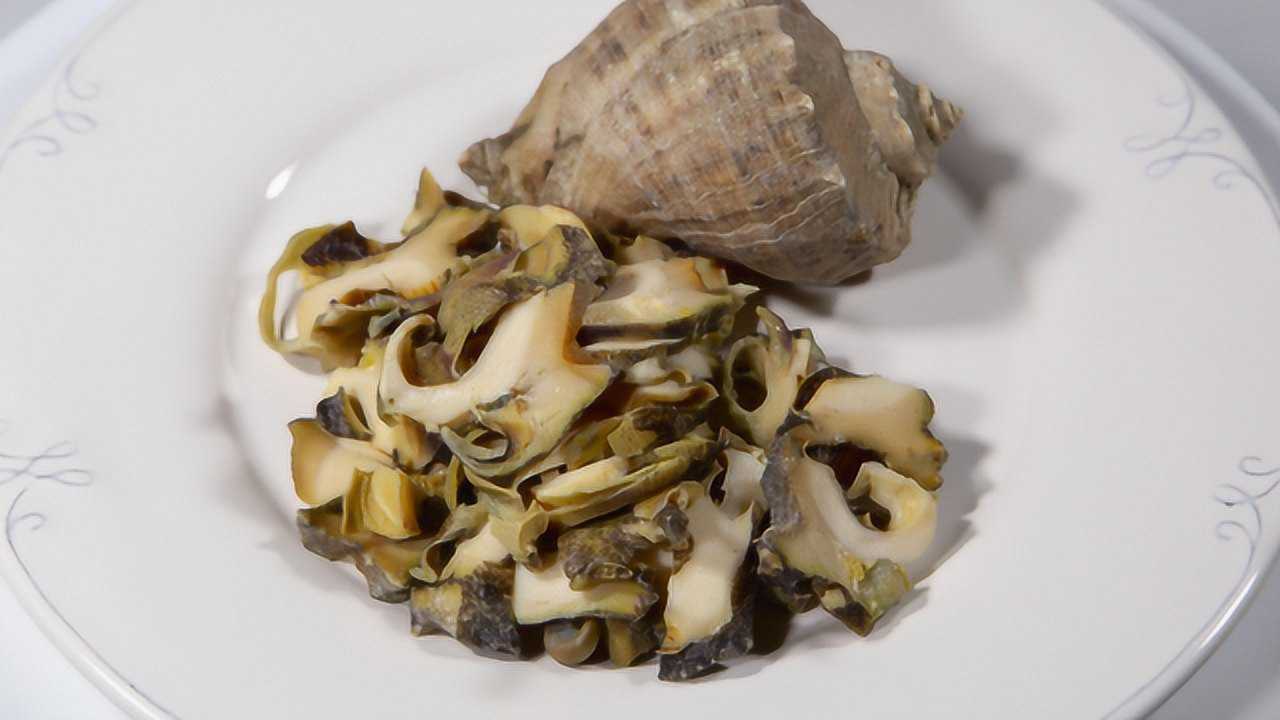 几只鲜活大海螺用简单做法做出白切海螺片那味美的