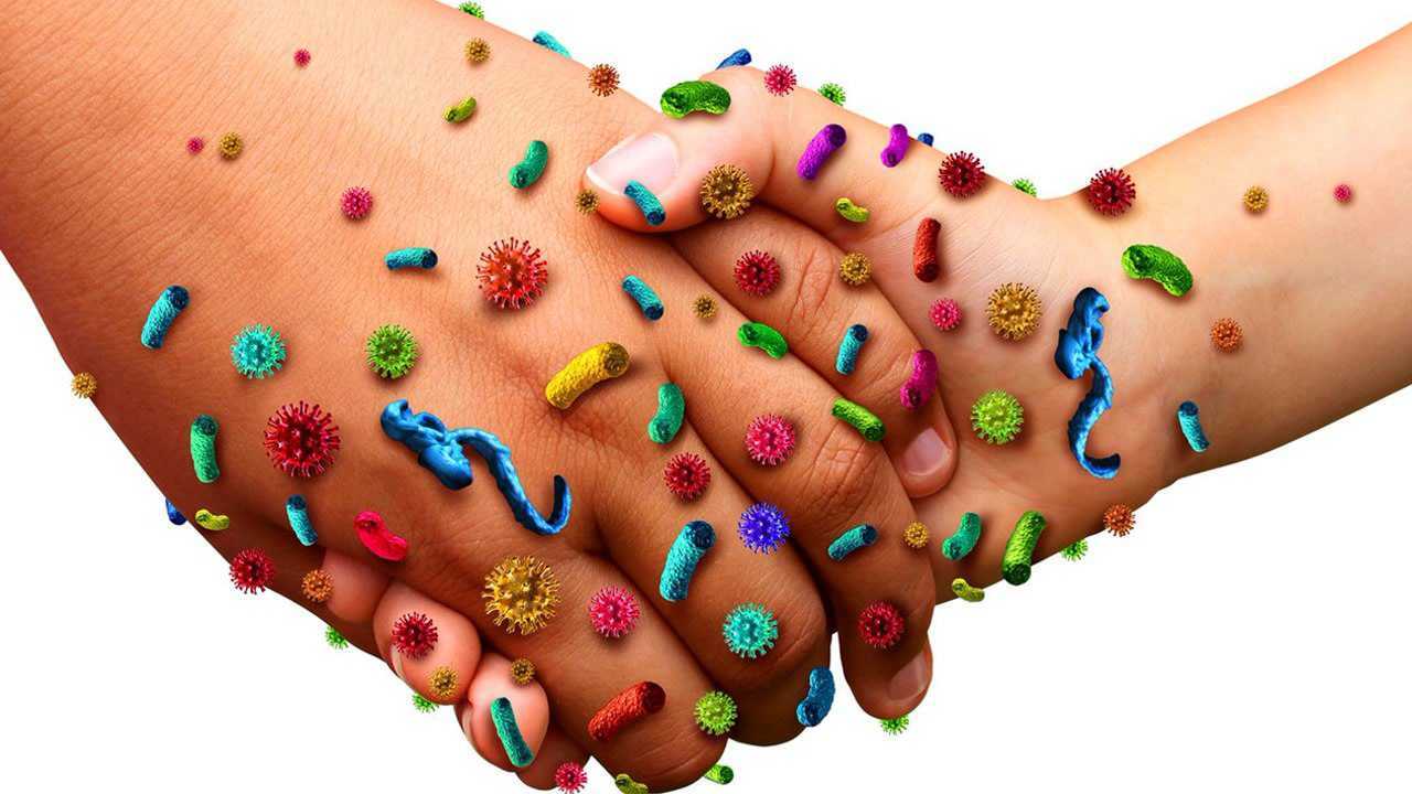 人的手上有很多我们看不见的细菌,用力握拳能捏死它们吗?