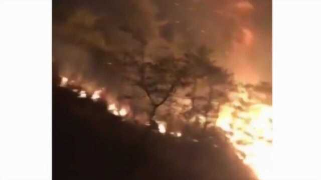 风火山林!陕西商洛突发森林大火,因村民烧荒所导致