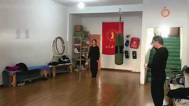 形意五行连环拳