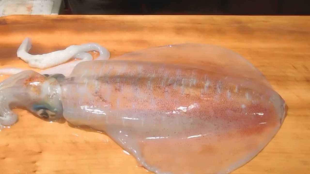 极品深海大鱿鱼身体是粉红色的看大厨是如何将它处理的