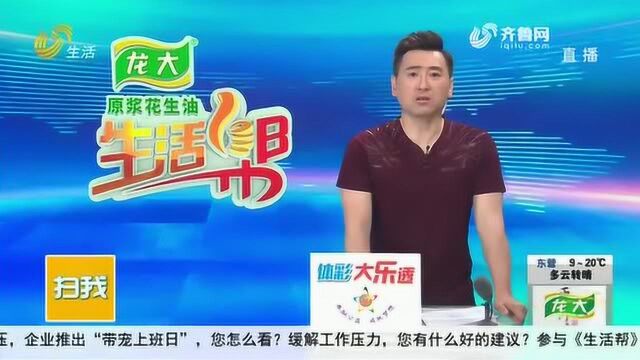 滨州:新买的奥迪A6 为啥不能挂牌?