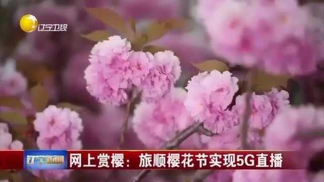 网上赏樱:旅顺樱花节实现5G直播