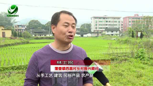 永春蓬壶西昌村:传统与现代交融 打造游学型美丽乡村