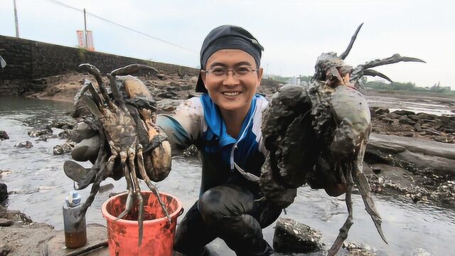 赶海遇到大尺寸洞口,渔夫说里面有怪兽,挖出来快乐疯了!