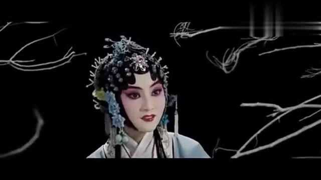 一首《子夜歌》令人如痴如醉!婉转动听的歌曲,好听