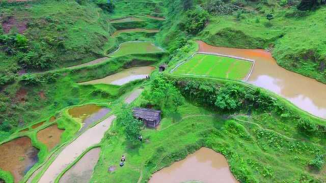 大山里的牛棚你见过吗?80后的回忆,90后见过,00后没见过