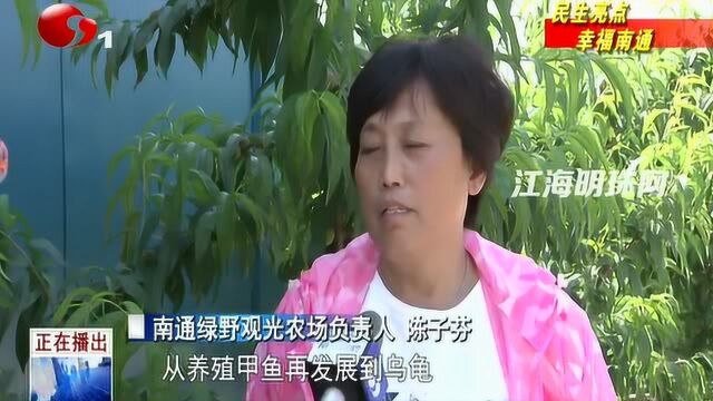 民生亮点幸福南通丨一县一品牌南通高分获评省四好农路示范市