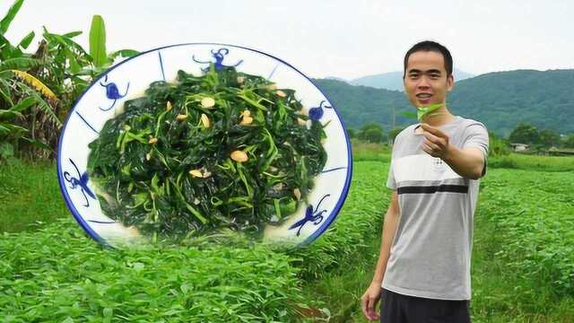 炒麻叶,潮汕夏季人人爱吃的时令蔬菜,开胃下饭