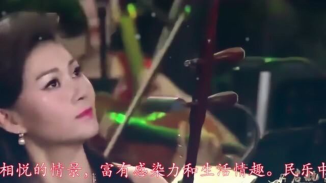 马向华二胡演奏二胡曲《紫竹调》,细腻动听,视听享受!