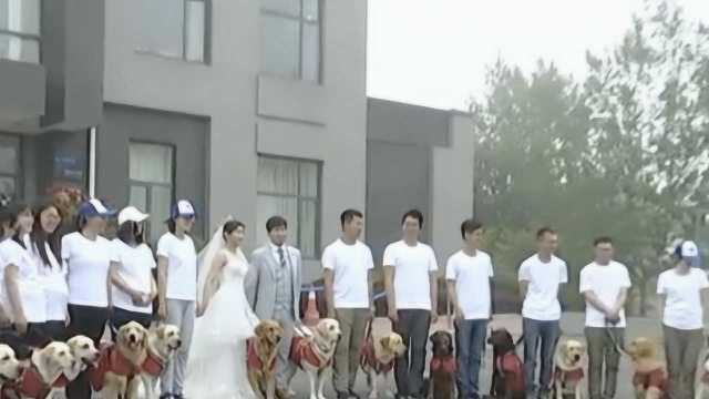 盲人情侣相隔360里,导盲犬成“媒婆”