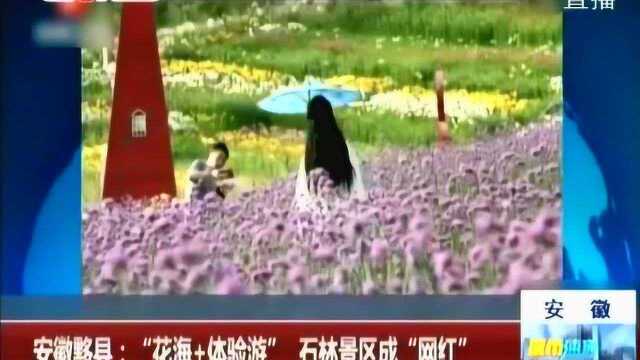 “花海+体验游” 石林景区成“网红”