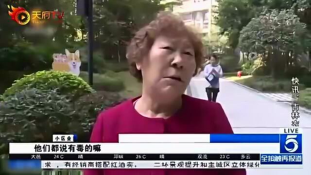 滴水观音被挖 有毒?