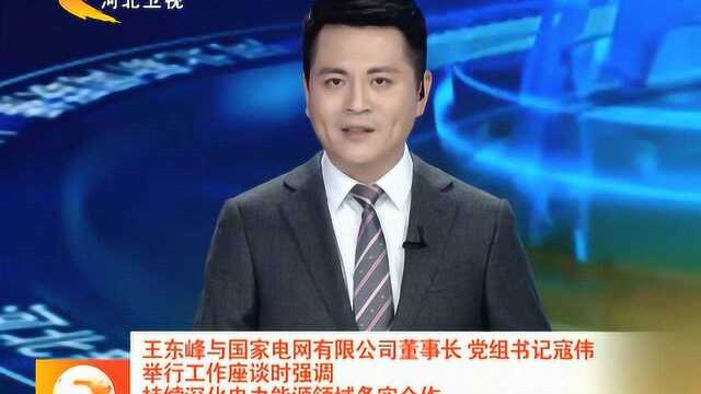 王东峰与国家电网有限公司董事长、党组书记寇伟举行工作座谈