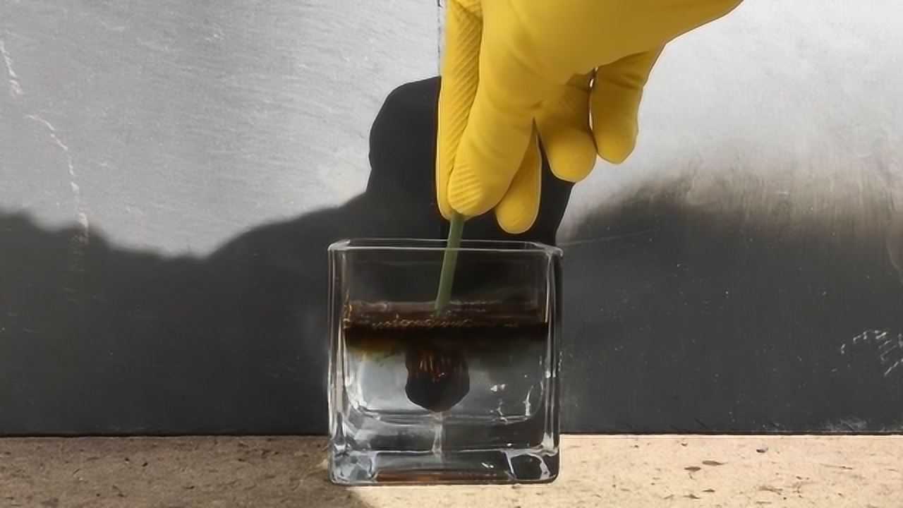 用硫酸腐蚀小生物,刚放进去就被腐蚀,看上去有点恶心