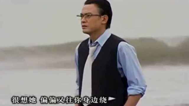 台湾长篇剧《意难忘》央视版片头曲《情难忘》,音乐一响记忆犹新