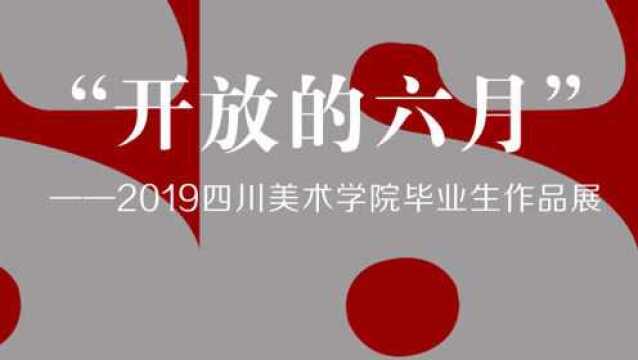 2019四川美术学院毕业生作品展