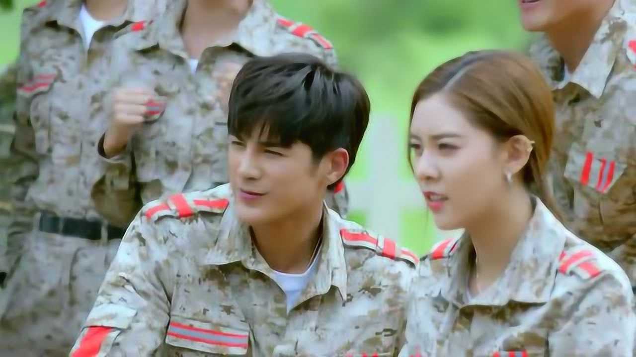 神犬小七3救援队通过正式考核安心希望大家给救援队起个名字