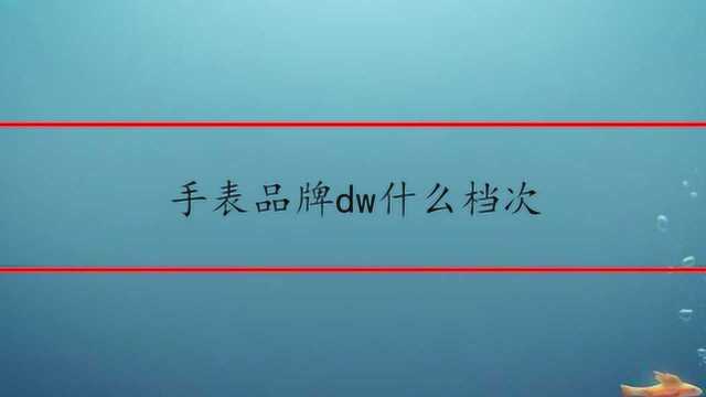 手表品牌dw什么档次