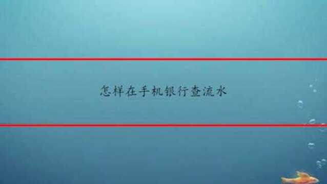 怎样在手机银行查流水