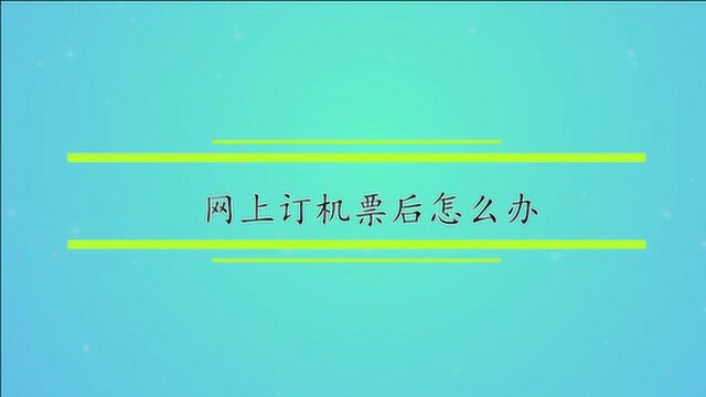 网上订机票后怎么办