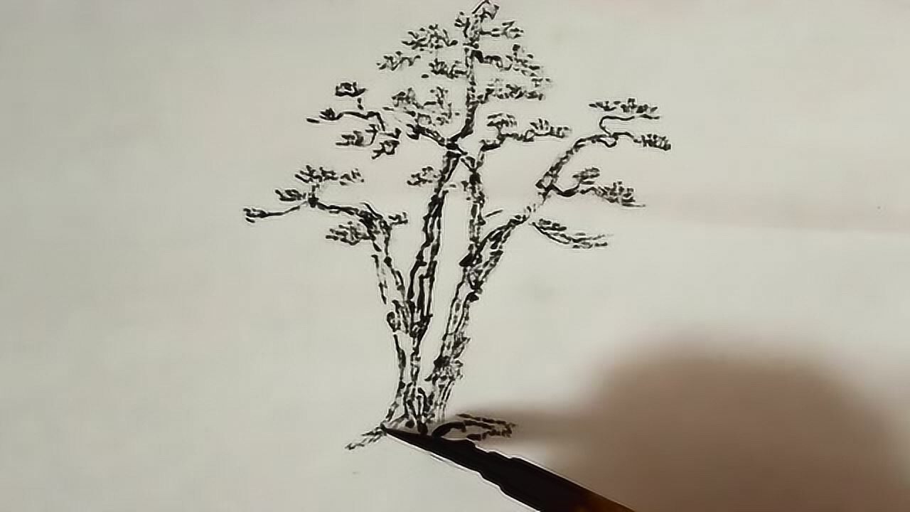 国画:黄杨树的组合画法,简单好学