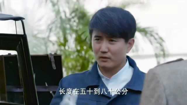 《无名卫士》杨诚:这有文化真可怕