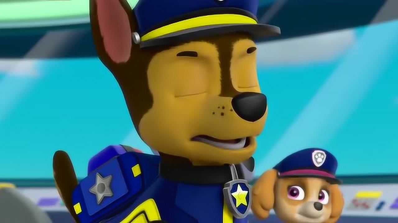 汪汪队立大功:警察救援行动开始,阿奇执行终极任务,出动了!