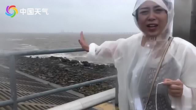 受“利奇马”外围环流影响 南通通州湾风雨增强