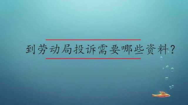 去劳动局投诉要哪些材料?