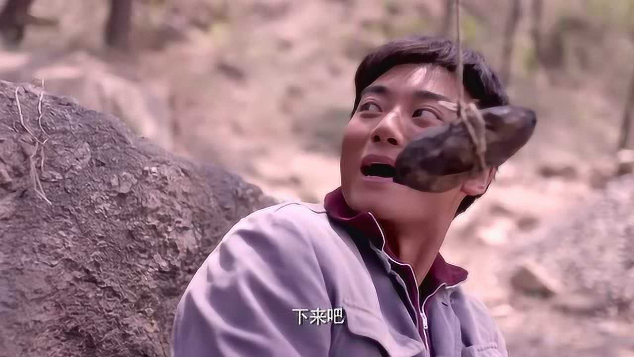 老农民:狗儿正在学习,突然一个红薯从天而降