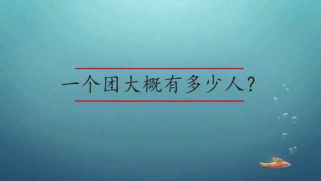 一个团大概有多少人?