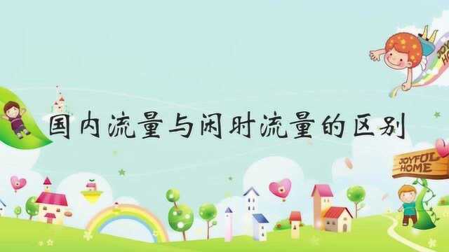 国内流量与闲时流量的区别